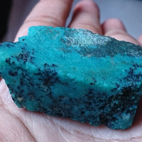 share--trit-perawatan-bacan