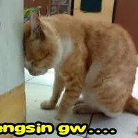 proses-hukum-yang-tak-berjalan-di-kasus-tabrak-lari-dengan-sengaja-oleh-anak-pejabat