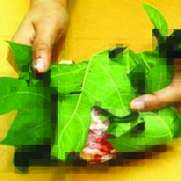 tips-mengolah-daging-kambing-agar-tidak-bau-dan-alot