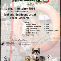 acara-super-fun--amazing-dog-race-3--ancol-outbound-area-hari-sabtu-11-okt-14