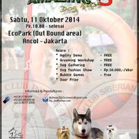 kopdar-amazing-dog-race--latihan-bersama-ecopark-ancol