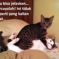 ane-yakin-bukan-cuma-ane-yang-punya-sifat-kayak-gini