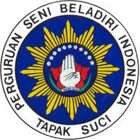 martial-art-sejarah-perguruan-silat-tapak-suci-putera-muhammadiyah