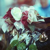 nongkrong-bareng-analog---film-camera---part-4