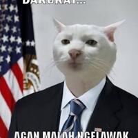 perang-meme-yuks-gan-galaumotivasikocak-dan-aneh