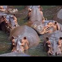 bait-al-hikma-tavern-the-magnificent-seven