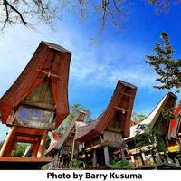 tongkonan-rumah-adat-toraja-yang-mengagumkan