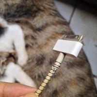 ikaskus---kaskus--iphone-new-forum-read-page-1-before-you-ask-v12---part-5