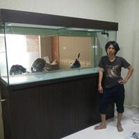 arowana--new-thread----part-1