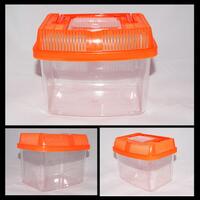 new--freshwater-fish-lounge---part-1