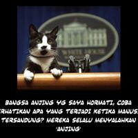 kucing-numpang-lewat-part-3---comic-digital-full-picture-dijamin-ngakak