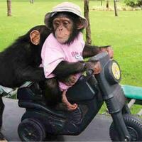 kepergok-indehoi-gadis-kabur-tinggalkan-cd-di-motor