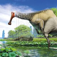 deinocheirus-mirificus-dinosaurus-yang-mysterius
