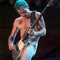 flea-in-action