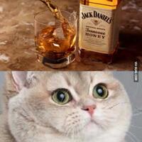 welcome-to-my-noteblog