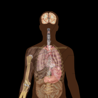 post-image