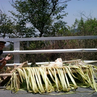 fr-festival-kelud---ritual-sesaji-kelud-dan-kirab-1000-tumpeng