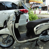 share-infooctopushonda-scoopy-kaskus----reborn-new