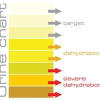 mengetahui-dehidrasi-melalui-warna-urin