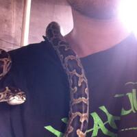 new-reptile-lounge---new-kaskus-------part-2