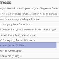 akhirnya-persib-juara-isl-2014-dan-quotdiaquot-harusnya-nikah-dengan-monyet