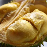 pecinta-atau-pembenci-durian--masuk-sini-deh