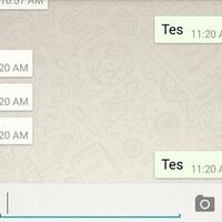 lika-liku-centang-biru-pada-aplikasi-whatsapp