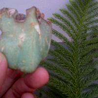 batu-akik-mustika-gemstone-bidang-keilmuan-quotperbatuanquot-dll