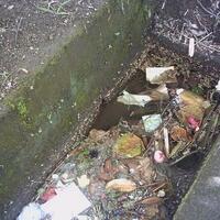 hal-hal-paling-sering-dipake-untuk-nyiram-saat-ulang-tahun