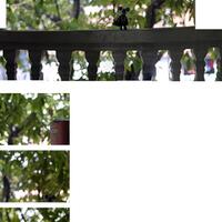 free-format-photography