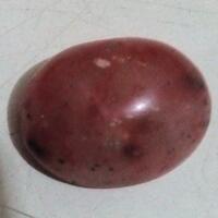 batu-akik-mustika-gemstone-bidang-keilmuan-quotperbatuanquot-dll