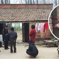 balita-tewas-dilahap-babi-peliharaan-gara-gara-orangtua-lengah