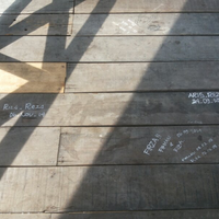 new--freshwater-fish-lounge---part-1