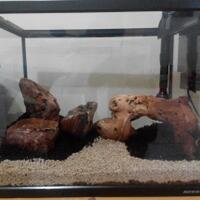 aquascape-for-everyone-learning-and-sharing---part-1