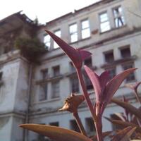 galeri-fotografihandphone-update