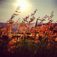 galeri-fotografi-hengpon-part-2