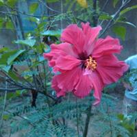 share-apa-hobby-agan-yang-masih-dilakukan-pada-waktu-luang