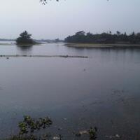 kfc-reg-solo---part-7