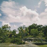 galeri-fotografihandphone-update