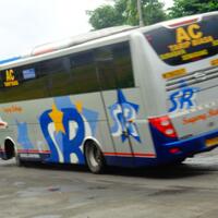 ente-tau-apa-itu-bus-quotmuriaanquot--sini-ane-kasih-tau-realbro