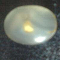 misteri-combong--kayu-batu-besi-yang-berlobang