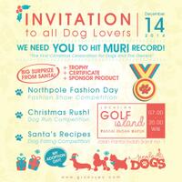 info-and-invitation-for-all-dog-lovers-it-s-jingledogs-2014