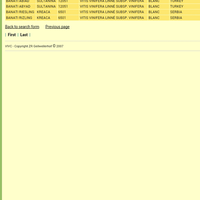 kampung-anggur----part-3