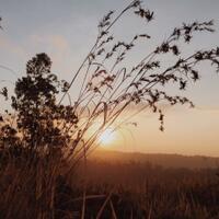 share-preset-lightroom-replichrome-vsco-pretty-preset