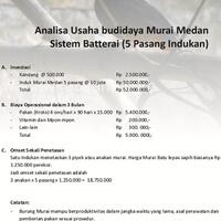 beternak-murai-batu-pendapatan-melebihi-gaji-bupati