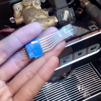 scak-specialty-coffee-association-of-kaskus