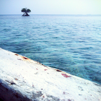 10-cara-optimalkan-kamera-ponsel-jadi-karya-fotografi-berkualitas