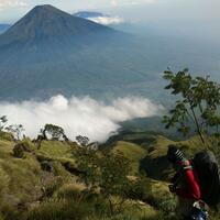 galeri-fotografihandphone-update