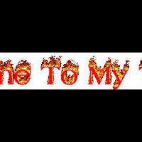 harga-hewan-langka-di-pasar-gelap