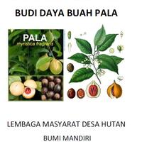 kerja-sama-budi-daya-pala